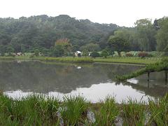 横浜トリエンナーレ